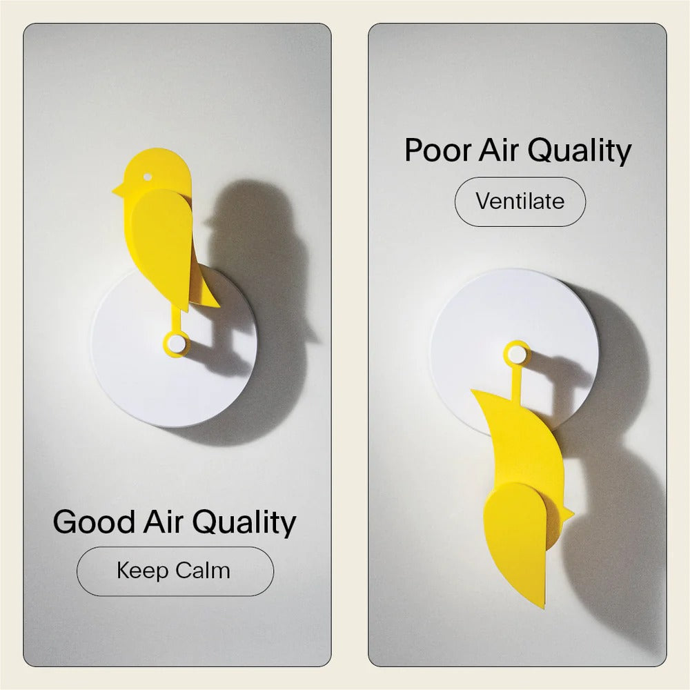 Birdie® 2.0 Air Quality CO2 Sensor: Yellow