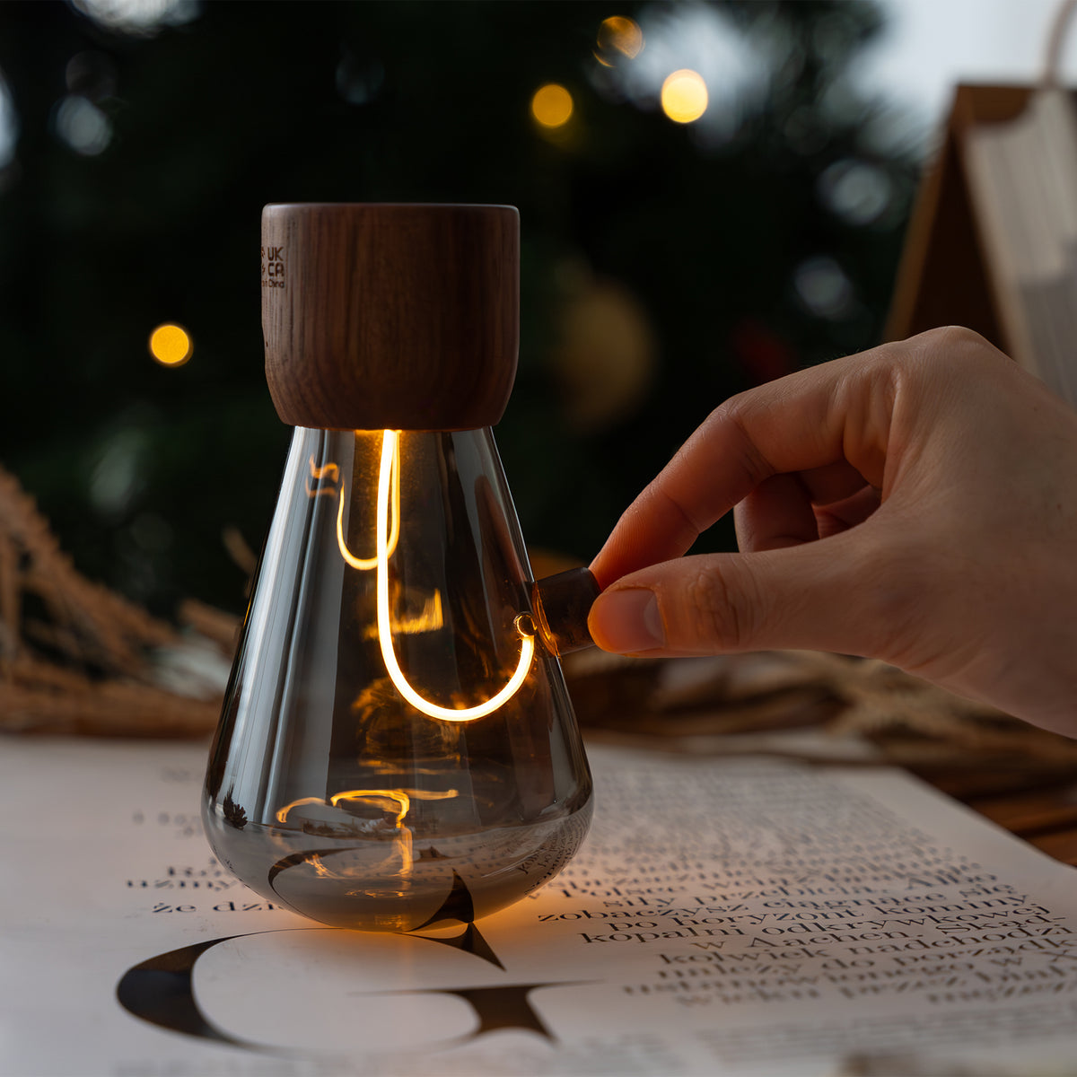 Hand holding a wooden and glass light bulb on a book with a blurred background