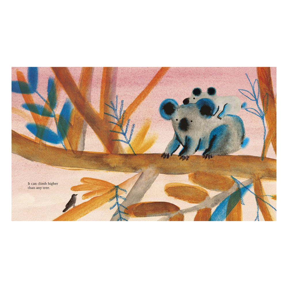 Illustration of two koalas on a branch with a colorful background