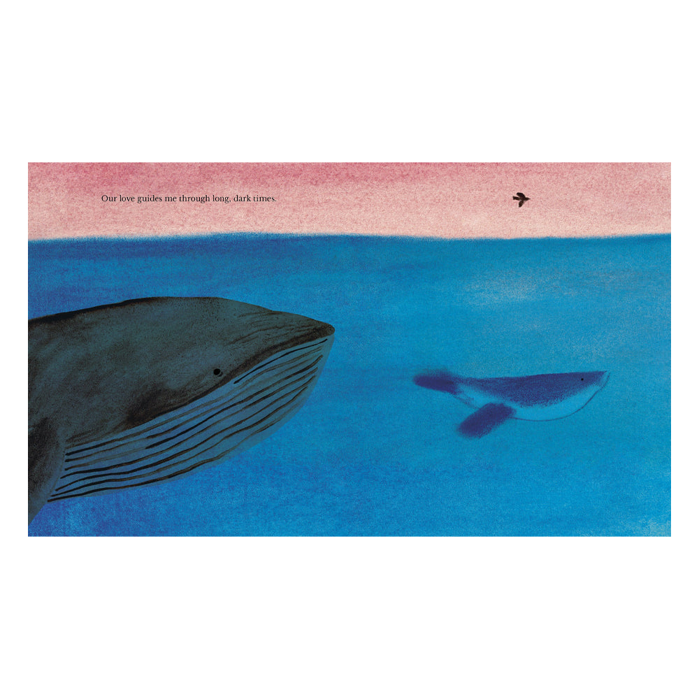 Illustration of a large whale and a smaller one in the water with a pink sky.