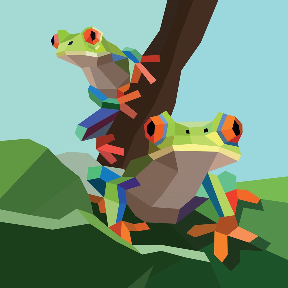 Two tree frogs on branch.