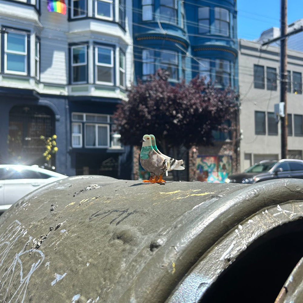 Pigeon on top of a mailbox with buildings and cars in the background