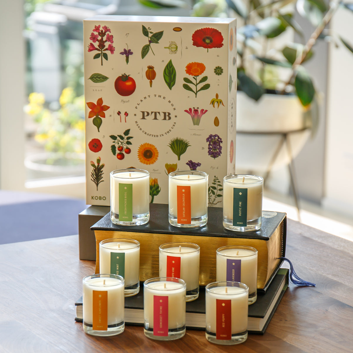 Plant The Box Votive Gift Set (9 x 2.3 oz)