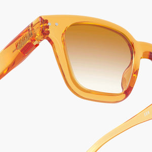 files/ROAD-Golden-Canyon-Sunglasses3_1600x_11848981-1dcf-4243-9a89-e390b07e812f.jpg