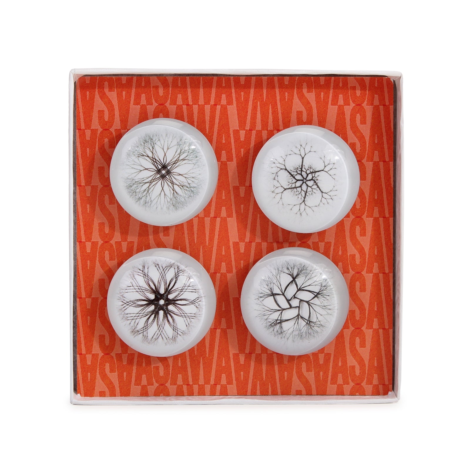 Set of 4 magnets with packaging front view.