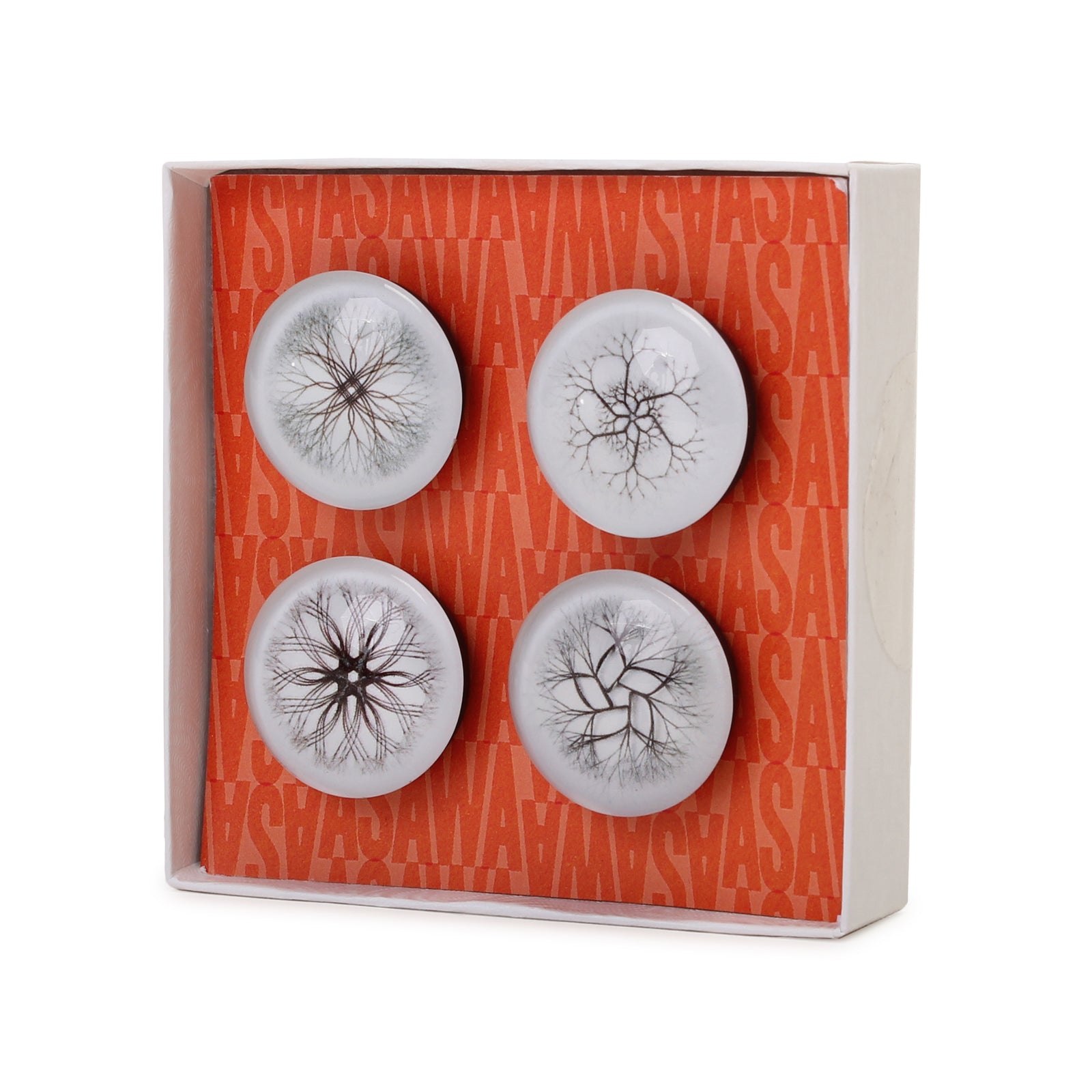 Set of 4 magnets with packaging front view.