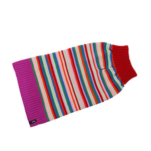 files/SFMOMA_Striped_Dog_Sweater-front_1000x_f236cf73-5d14-448f-a6de-9df69819cc9d.jpg