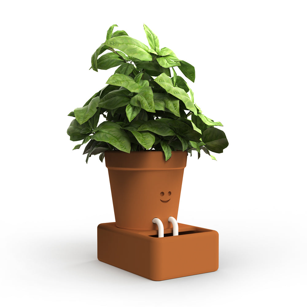 Self-Care Planter - SFMOMA Museum Store