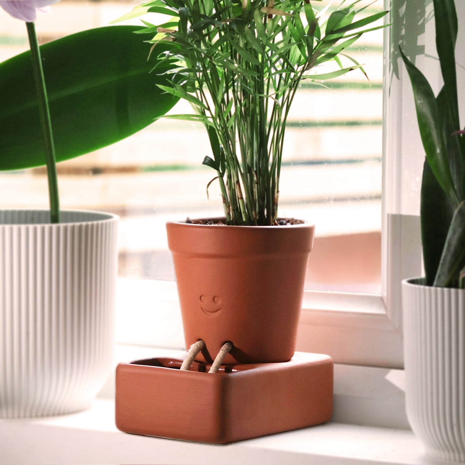 Self-Care Planter - SFMOMA Museum Store