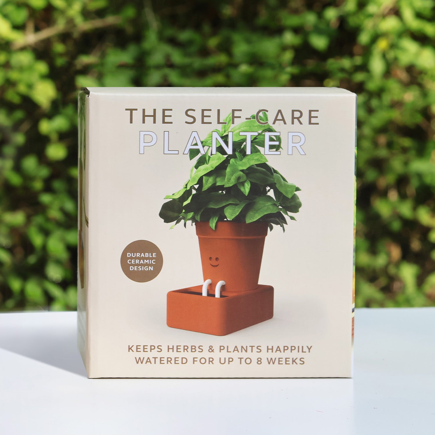 the potted planter Self-Care Planter
