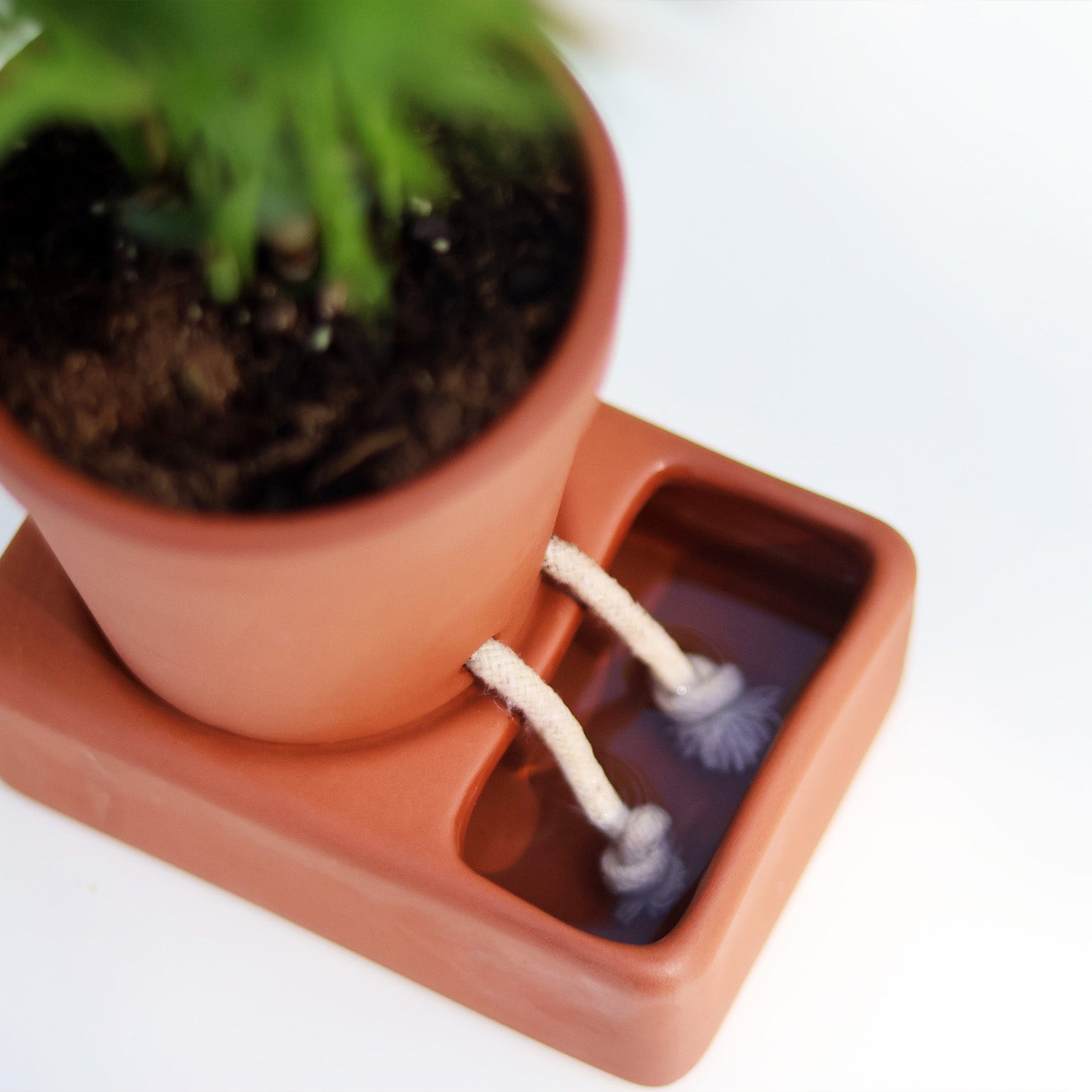 small pot planter Self-Care Planter