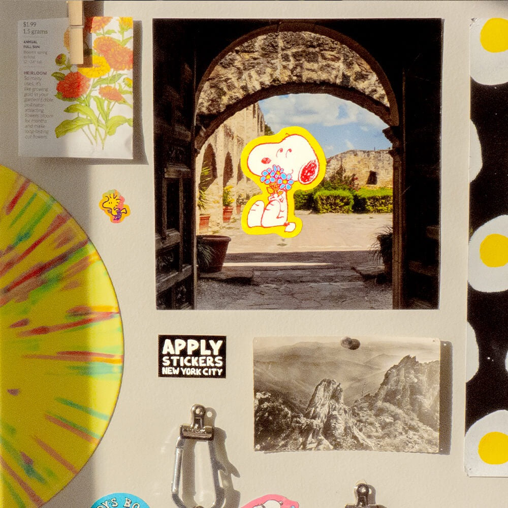 すぬぴ Amazon.com: 山加商店(Yamakasyoten) Peanuts SN1501-312 Snoopy