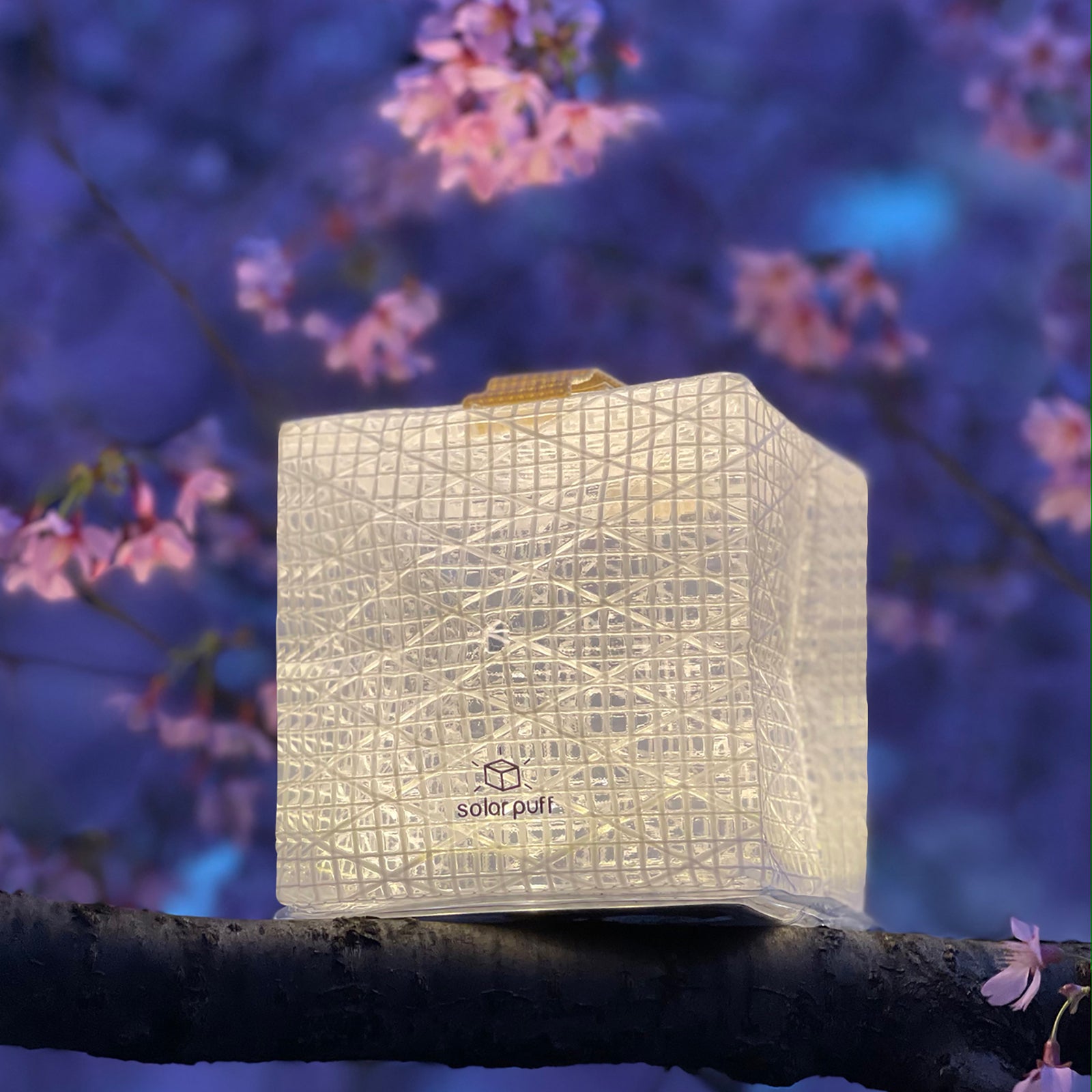 Solarpuff Hybrid Solar Lantern