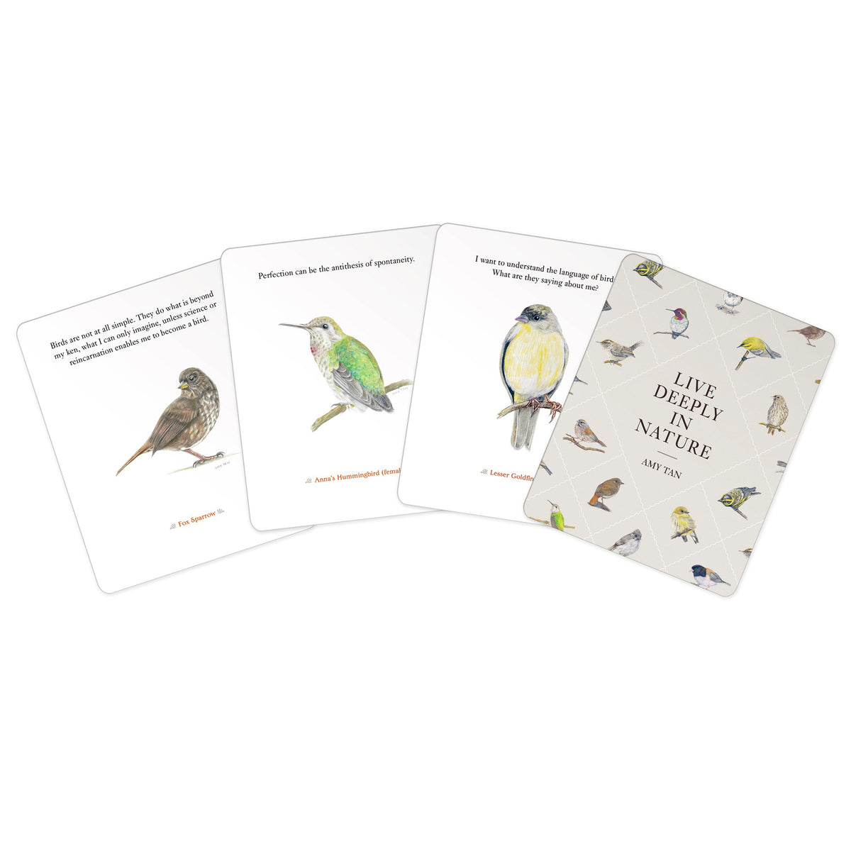 Four bird-themed cards from The Bird Deck, featuring illustrations of different birds and short poems, arranged on a clean white background.