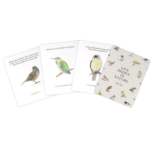 files/The-Backyard-Bird-Deck-affirmations2_1760x_712eca94-1027-4f3b-9e5e-d016b8a44588.jpg