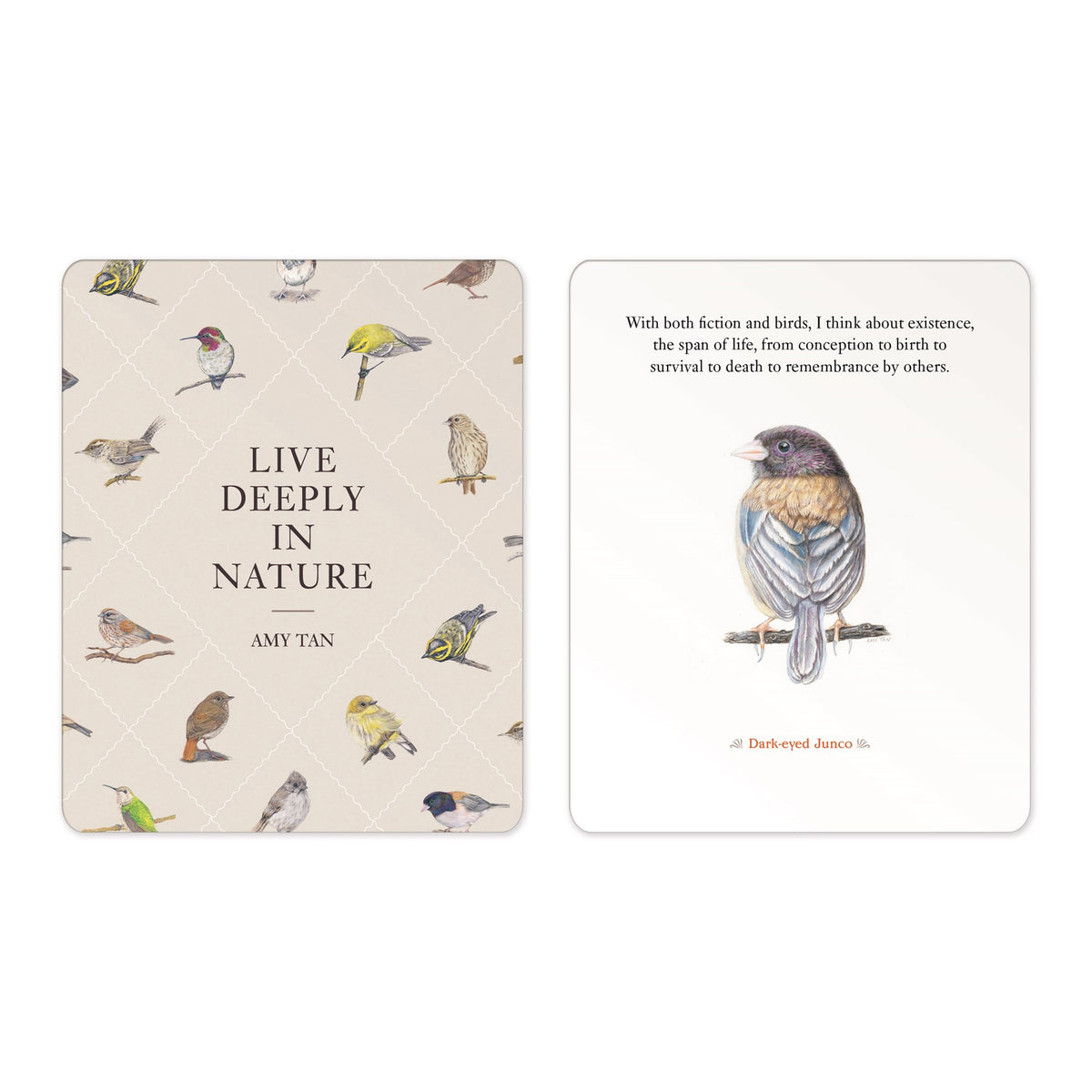 Two square printed cards shown side by side on a light gray background. The left page has a beige background with a faint diamond pattern and multiple small bird illustrations, with the title 'LIVE DEEPLY IN NATURE' and author name Amy Tan.