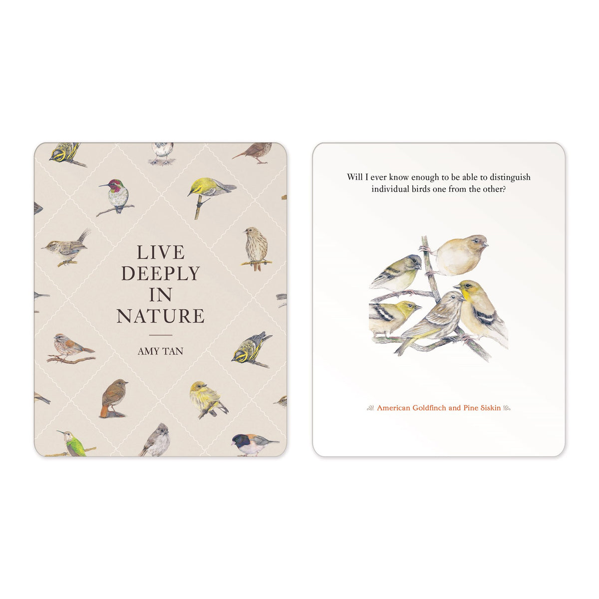 Two cards shown side by side on a light gray background. The left card has a warm beige background with a faint diamond pattern and scattered bird illustrations, with the title 'LIVE DEEPLY IN NATURE' and author name 'AMY TAN' centered.
