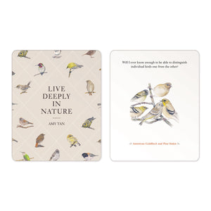 files/The-Backyard-Bird-Deck-affirmations4_1760x_4cb25421-885a-42be-925c-f952e4516c44.jpg