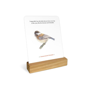files/The-Backyard-Bird-Deck-affirmations5_1760x_a926e090-7fbc-41f3-86a1-042ff435da7f.jpg