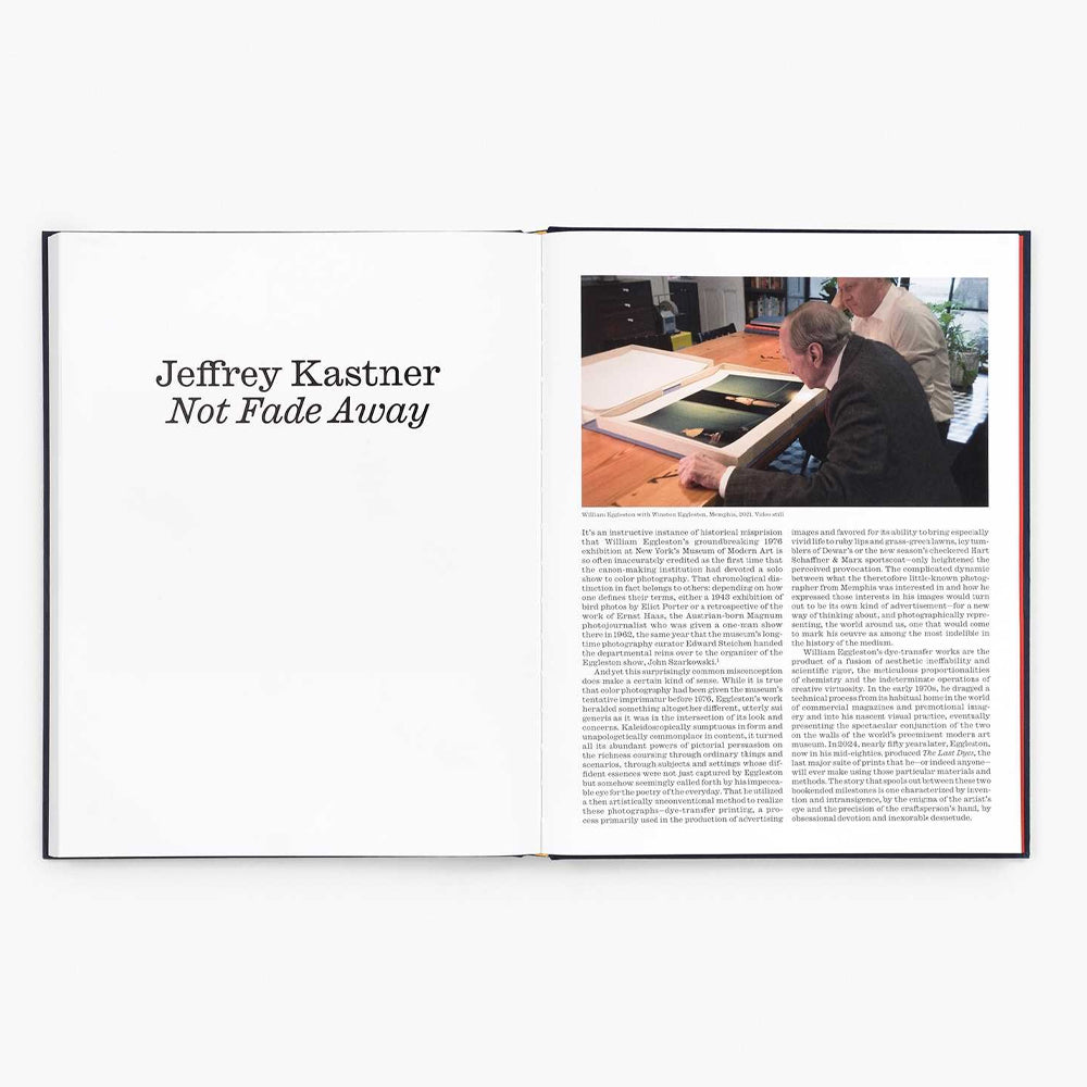 William Eggleston: The Last Dyes - SFMOMA Museum Store