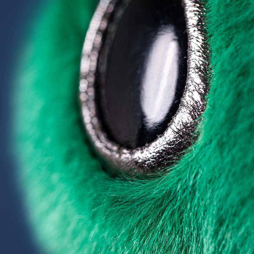 Close-up of a eye on green fur