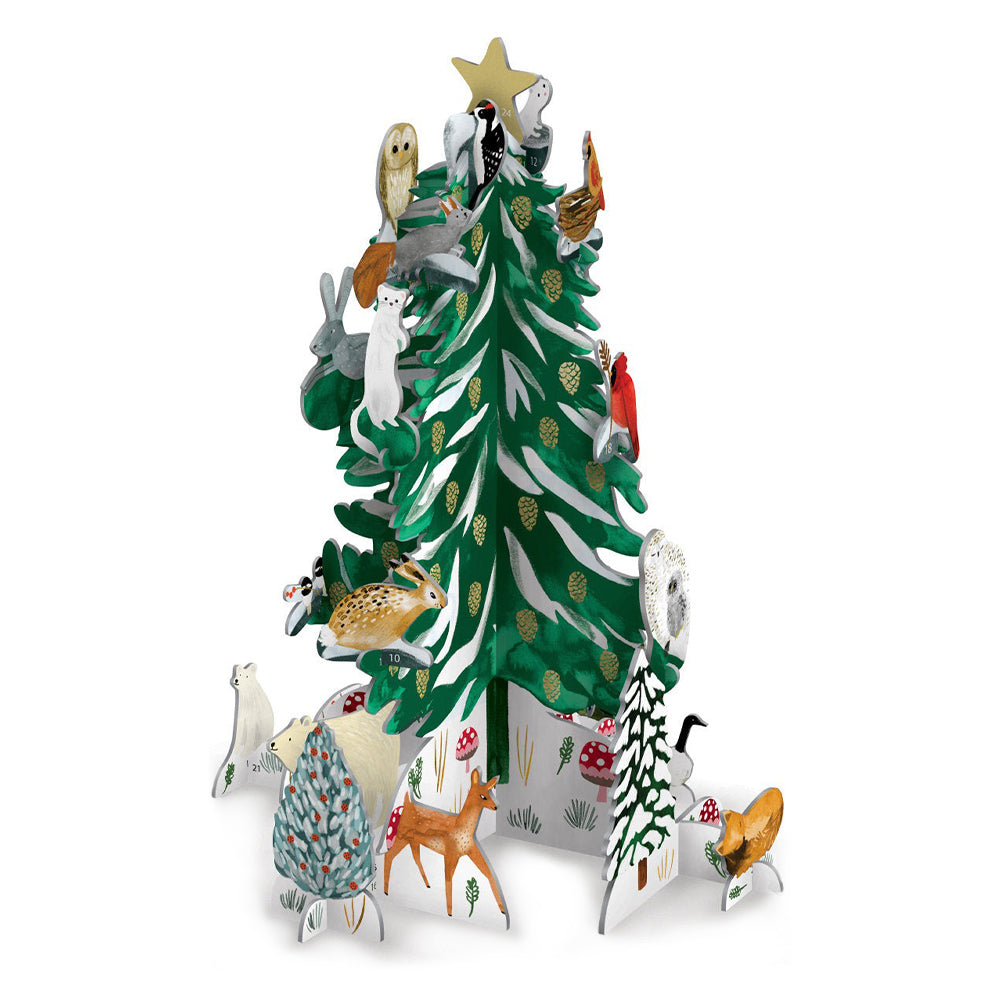 Christmas Conifer Pop and Slot Advent Calendar