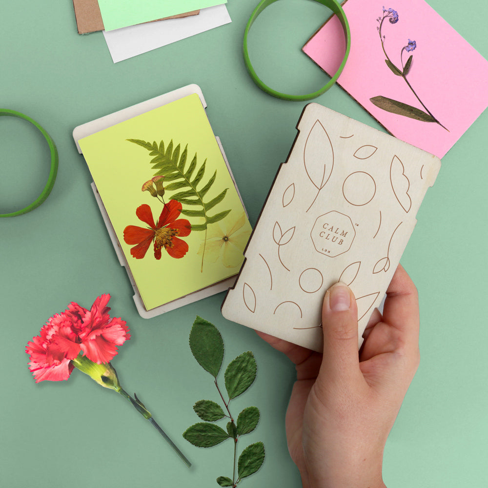 Flower Power: Pocket-Sized Flower Press Kit new packaging