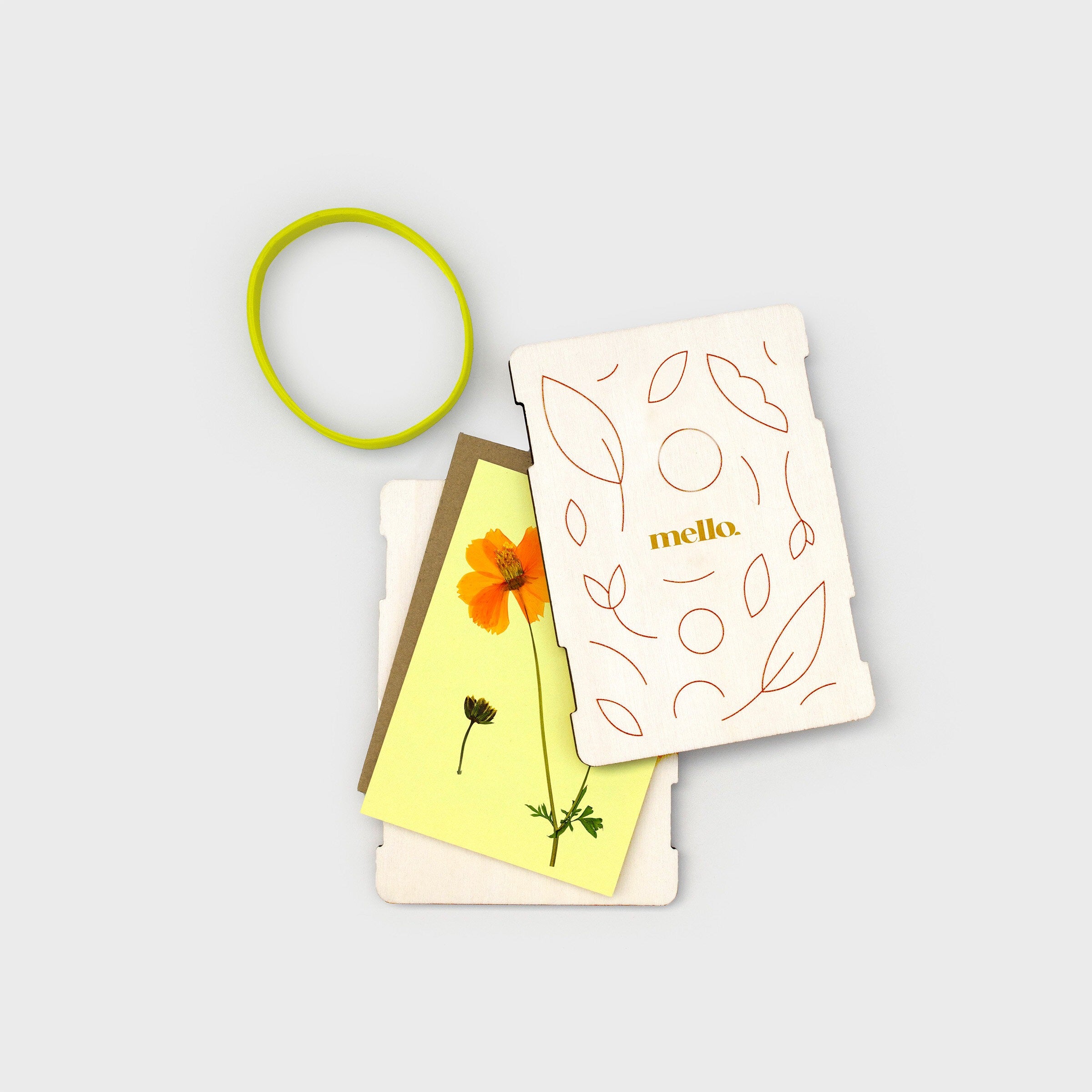 Flower Power: Pocket-Sized Flower Press Kit - SFMOMA Museum Store