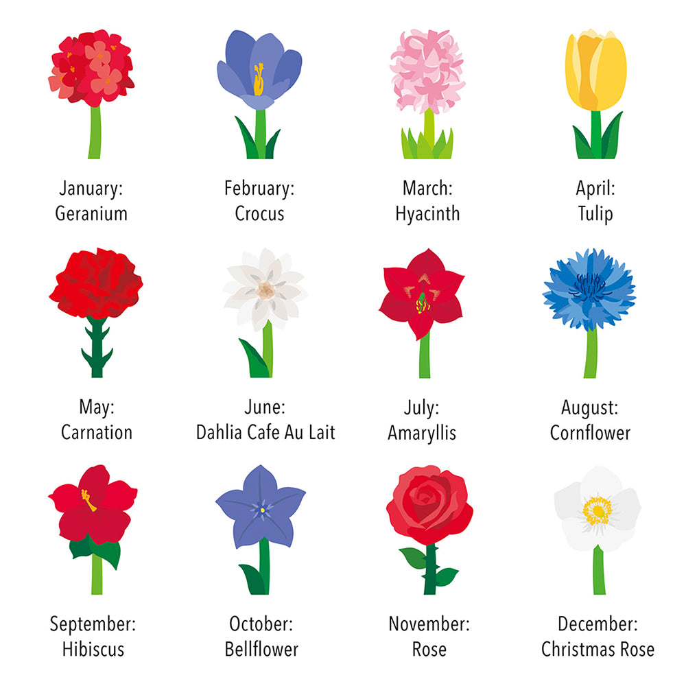 Twelve different illustrated flowers for each month.