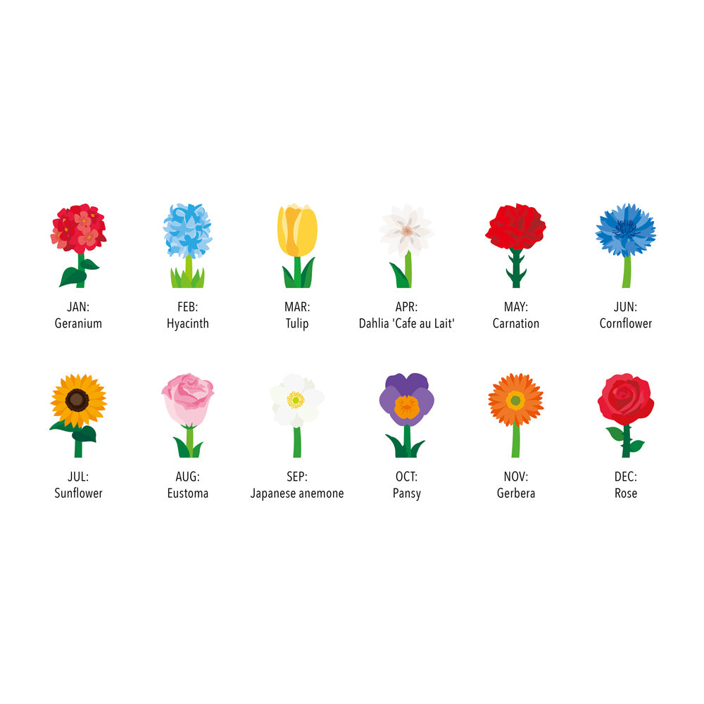 Illustrations of flowers for each month of the year. 
