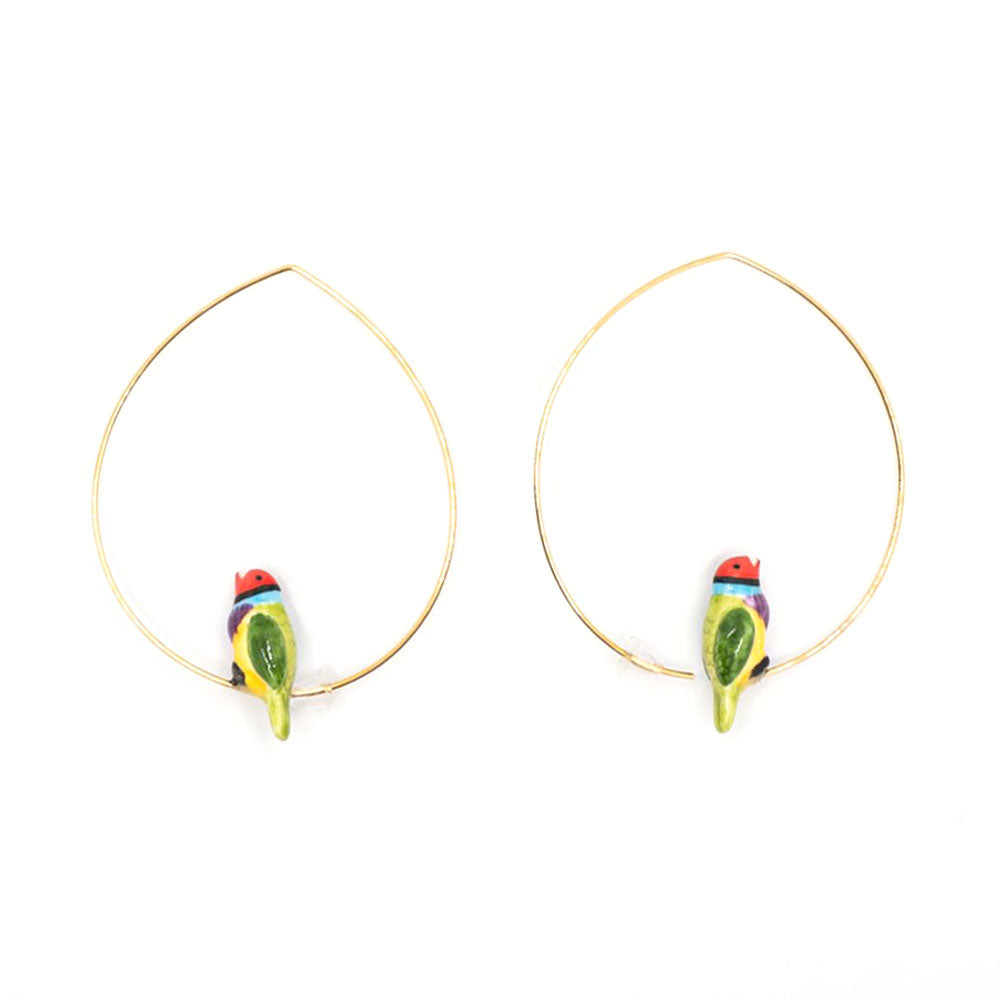 Gouldian Finch Hoop Earrings