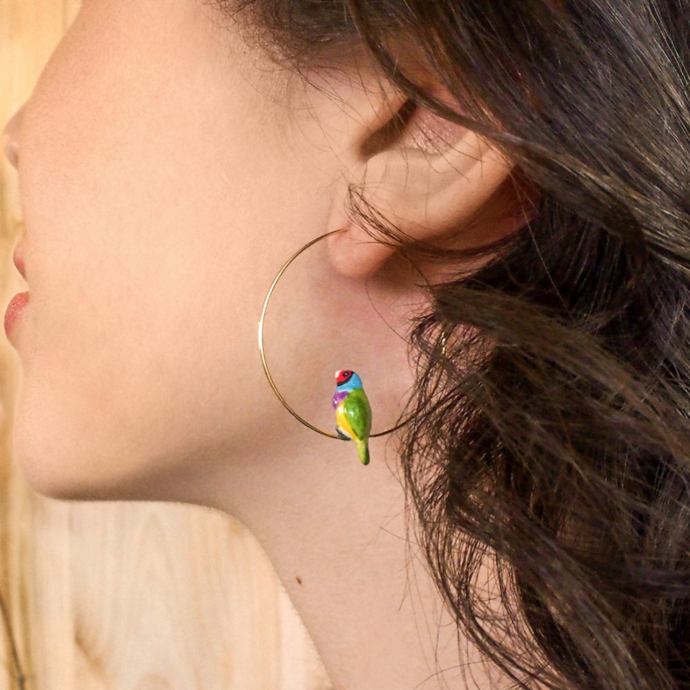 Gouldian Finch Hoop Earrings