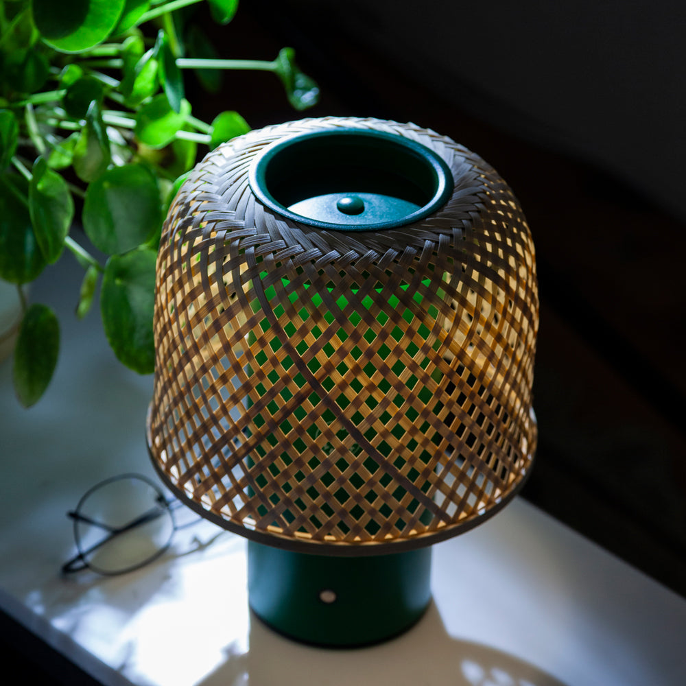 Light on kino lamp on side table with plant. 