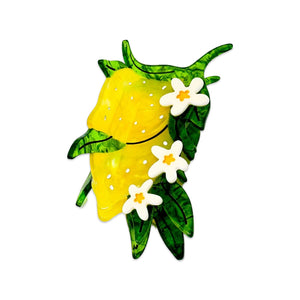 files/lemons-flowers-hair-claw2_1000x_d6878e65-fbc3-4409-8bcd-07008de945c7.jpg