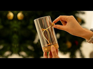 ExternalVideoDrop