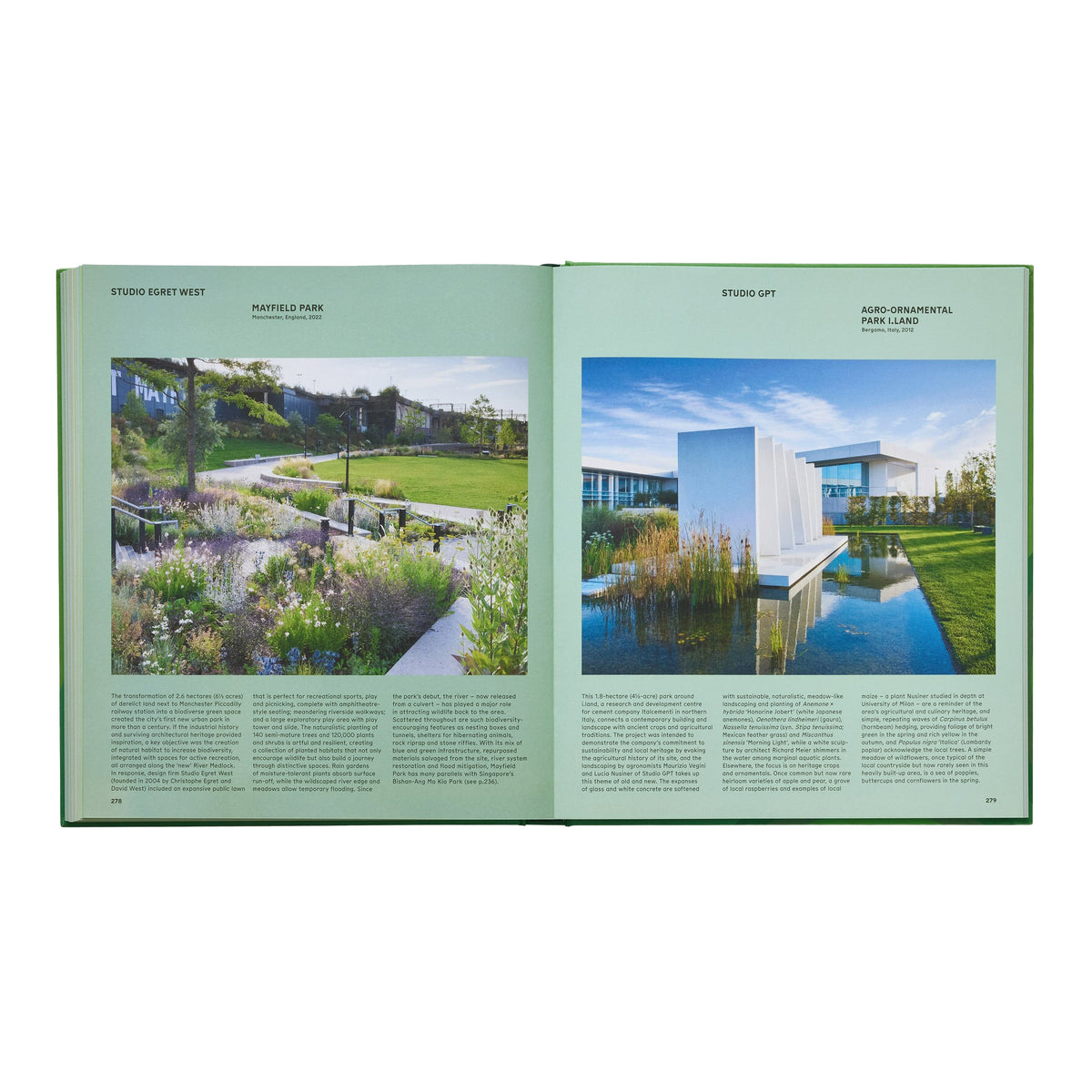 The Contemporary Garden showing two outdoor gardens