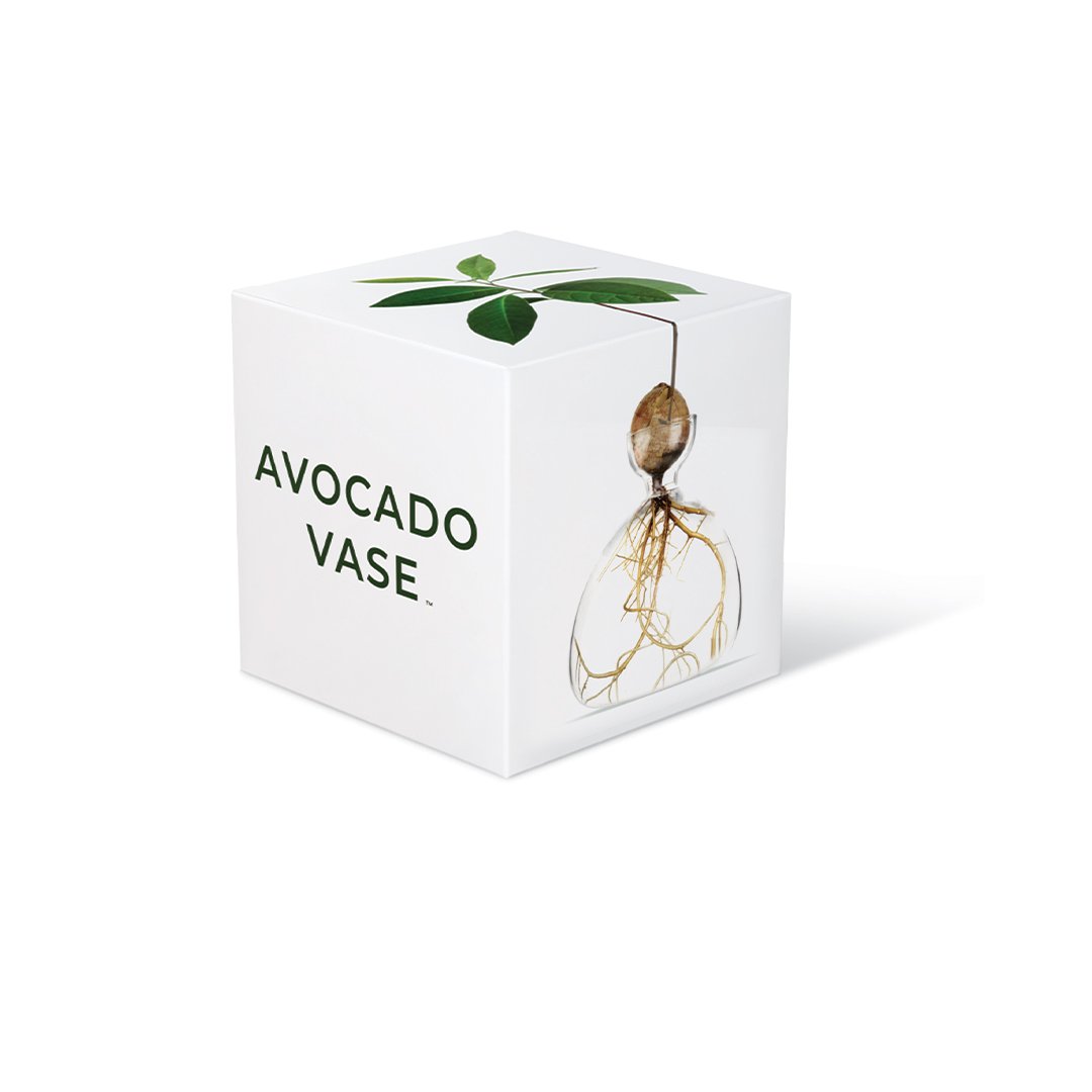 The Avocado Vase&#39;s packaging.