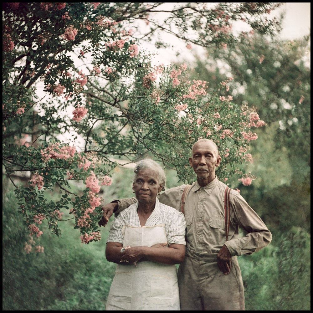 Old black woman and man pose for portrait in front of a tree blossoming with pink flowers. Man&#39;s arm around woman&#39;s shoulder.