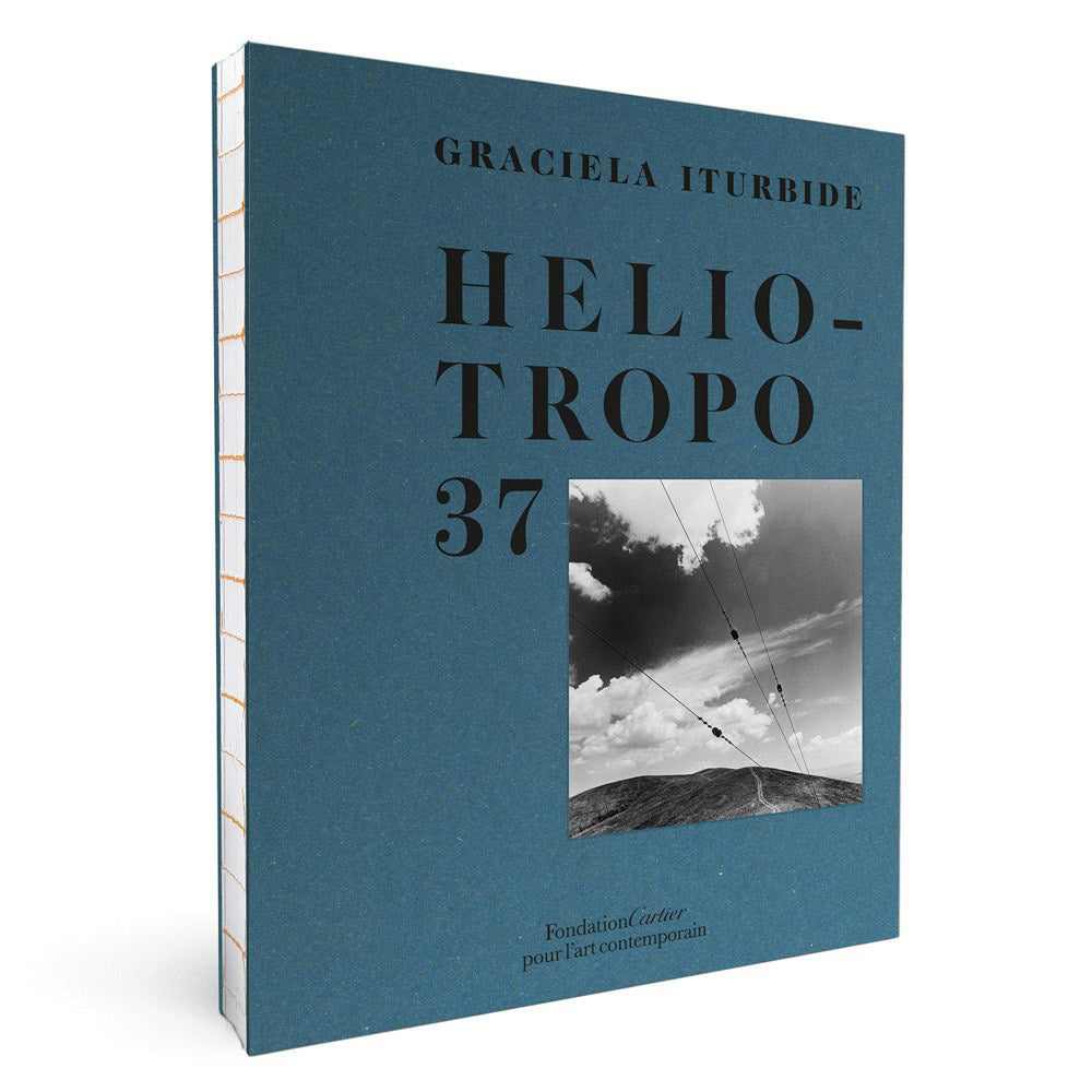 Three-quarter view book cover.