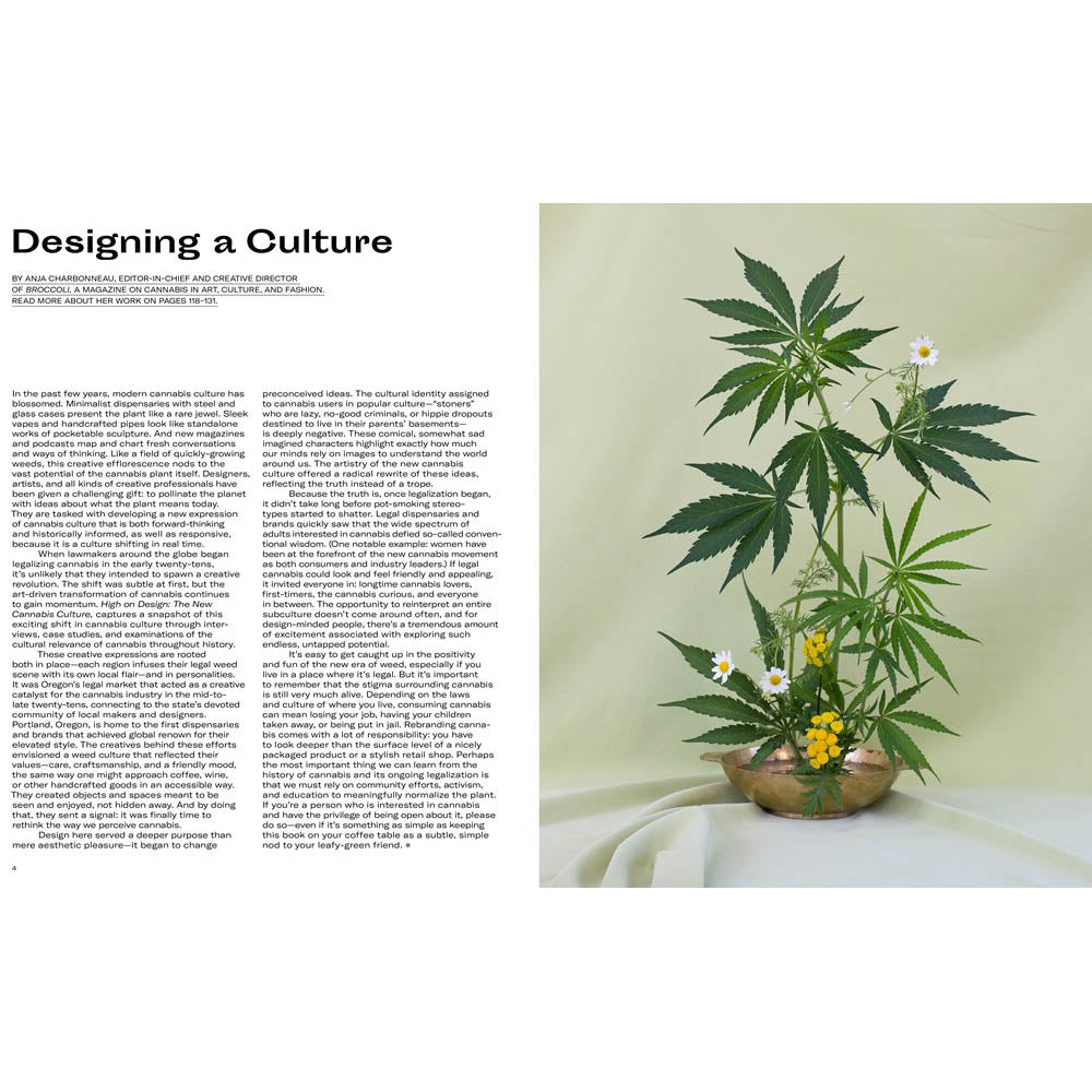 Interior spread from High on Design.