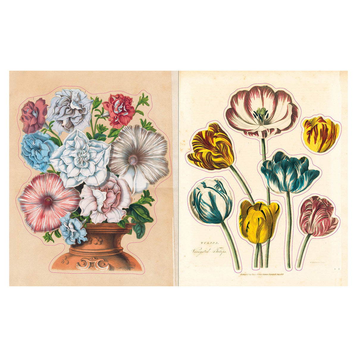 John Derian Sticker Book&#39;s flower sticker pages.