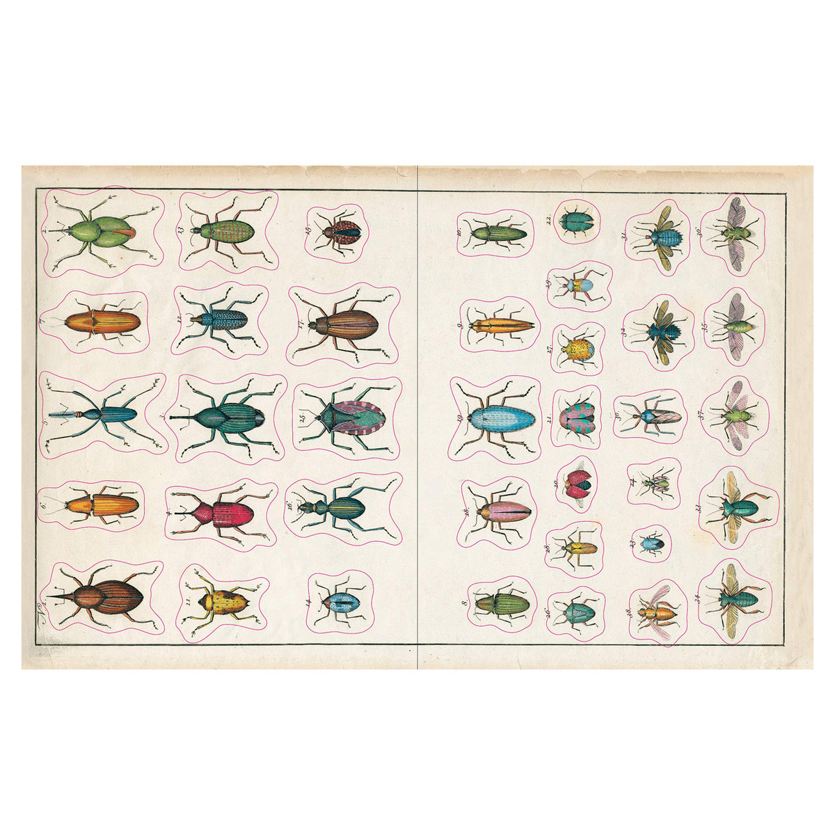 John Derian Sticker Book&#39;s insect sticker pages.