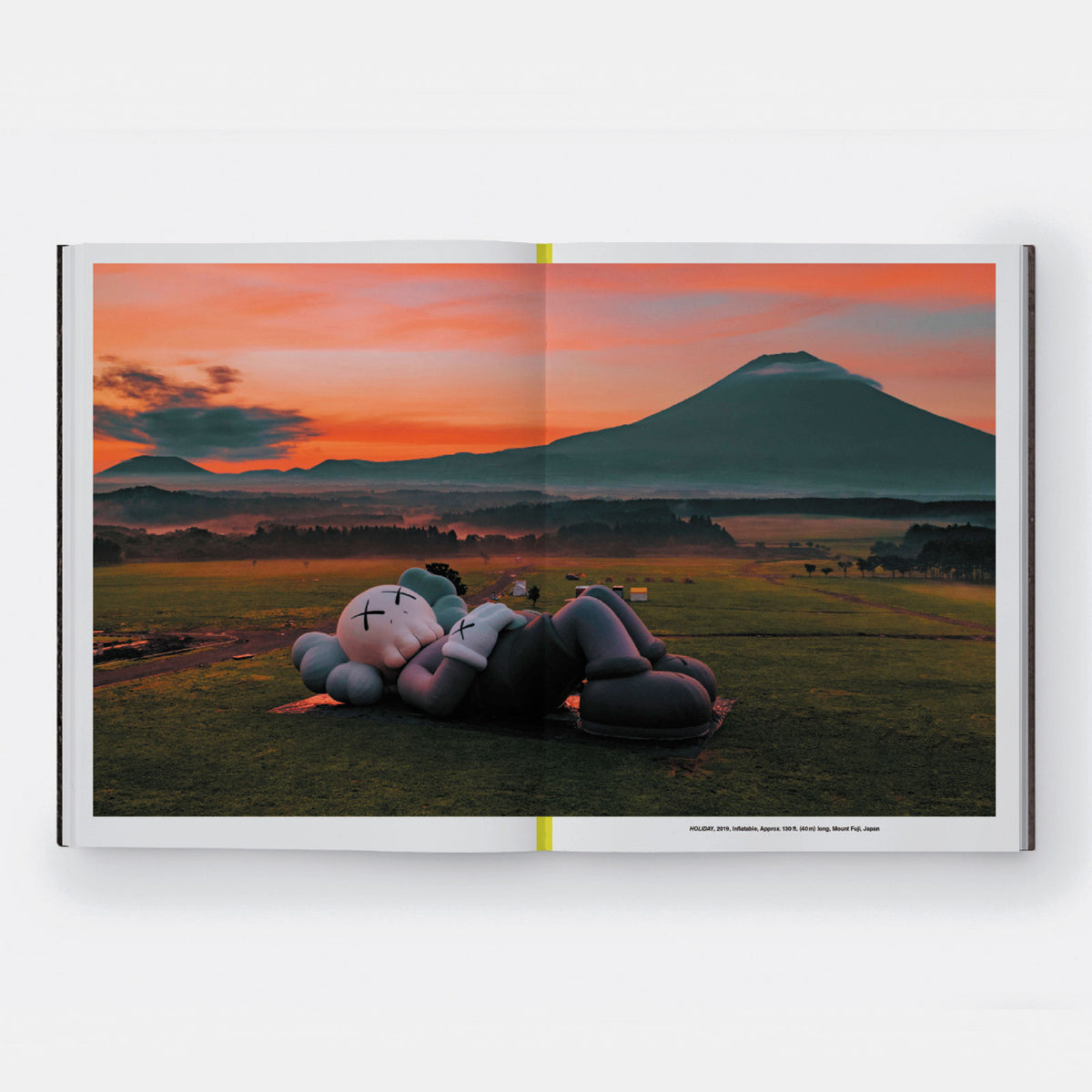 A full page photo spread from Kaws: What a Party (Black On Pink)