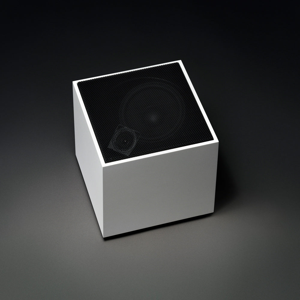 Front view of OD-11 speaker.