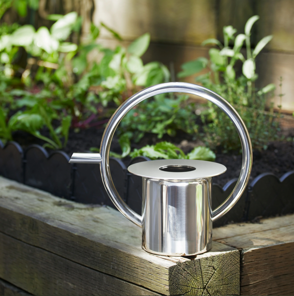 The Quench Watering Can outdoors near a garden.