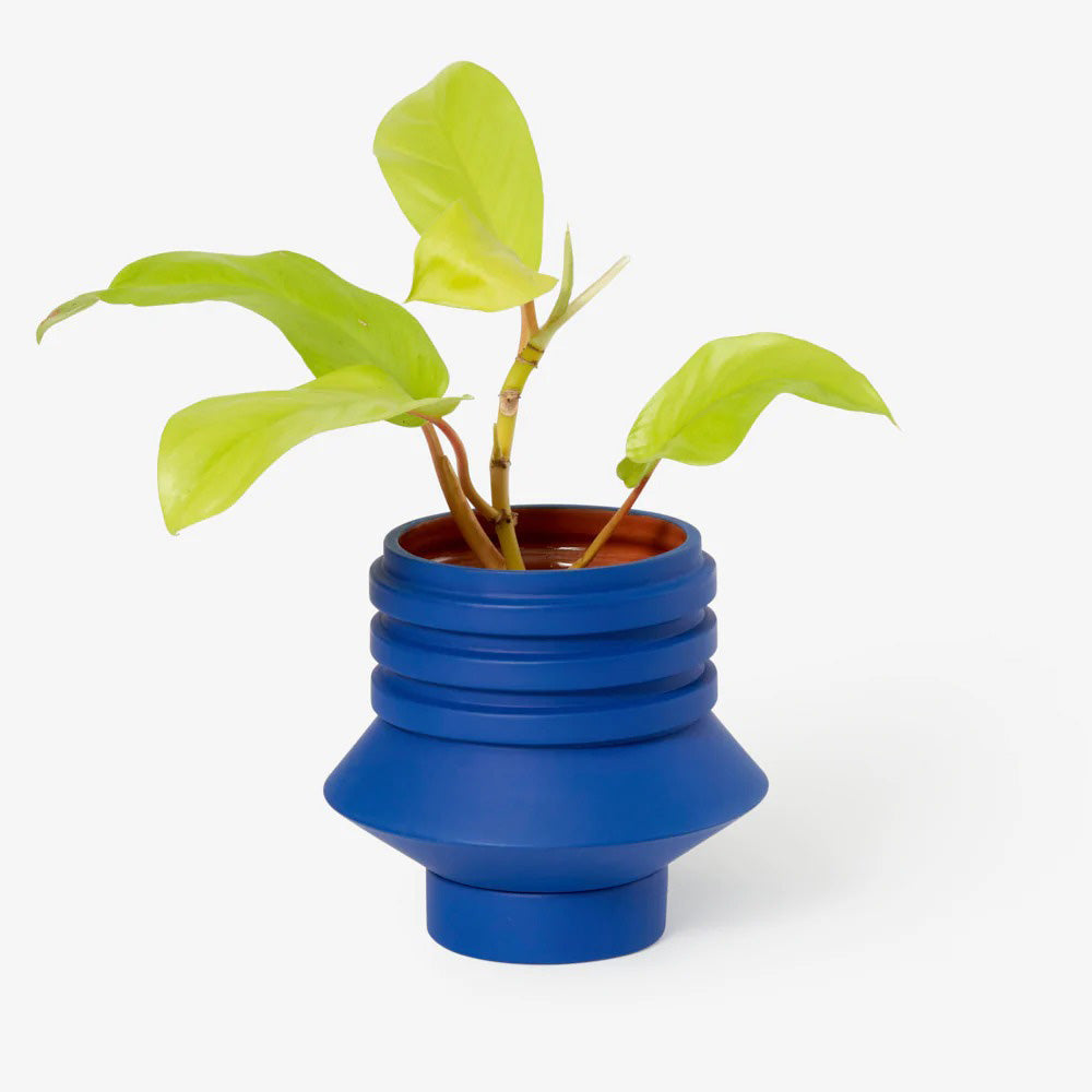 Strata Vessel with plant inside pot.