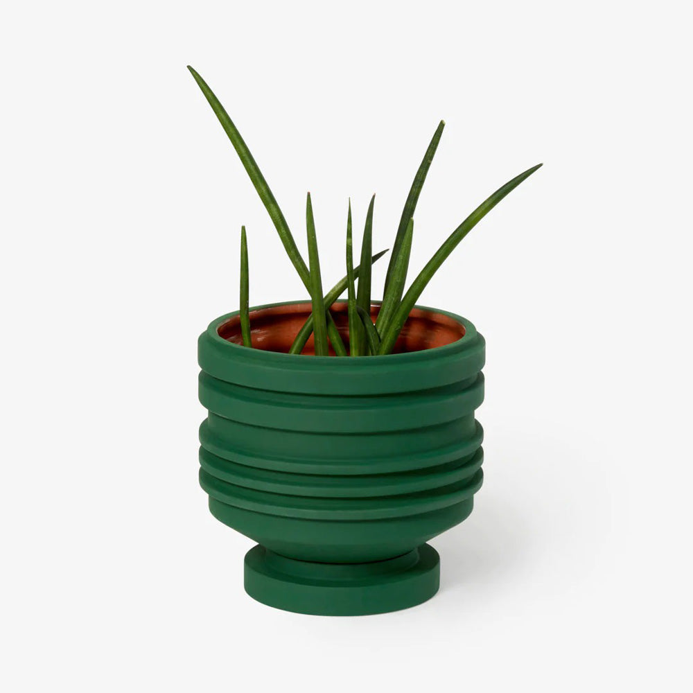 Strata Vessel with plant inside pot.