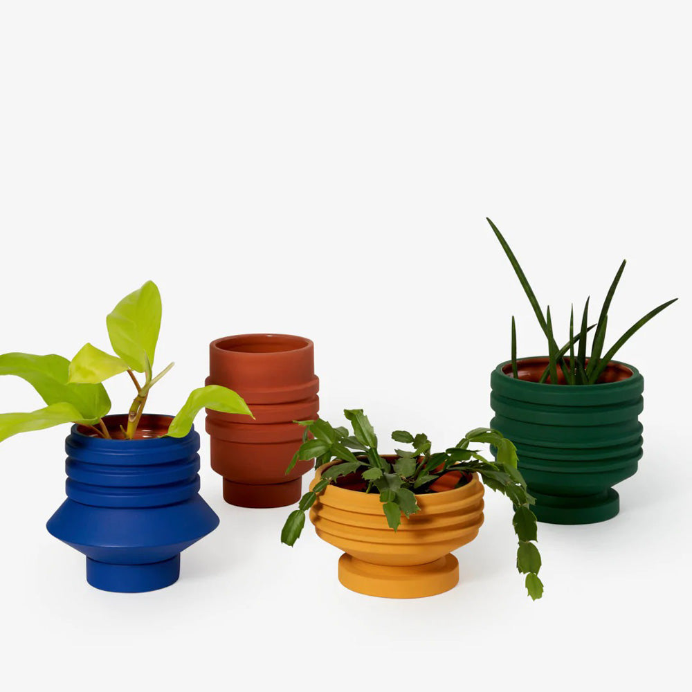 Group of different Strata Plant Vessels with plants.