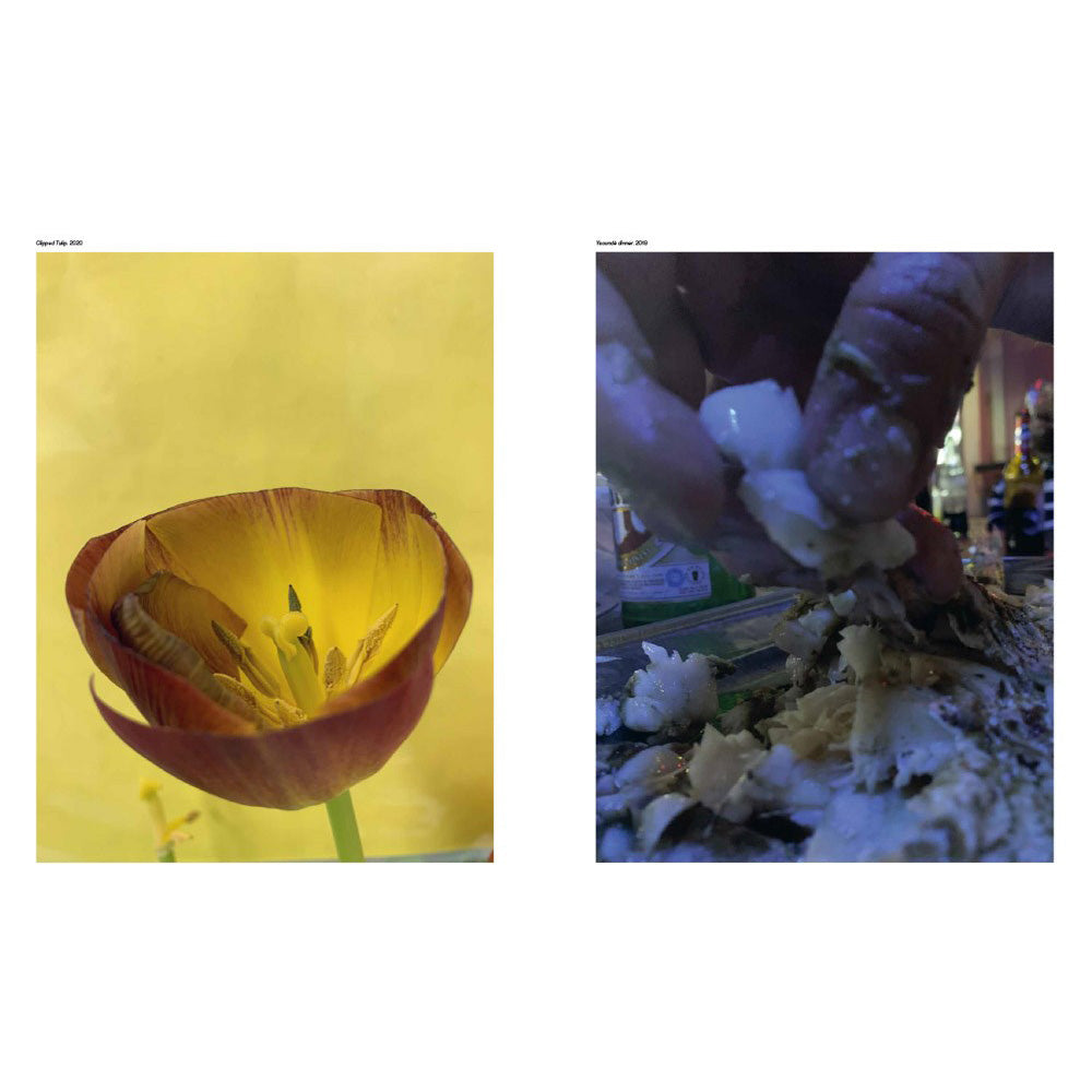 ヴォルフガング・ティルマンス TO LOOK WITHOUT FEAR Wolfgang Tillmans: To look without fear | North East