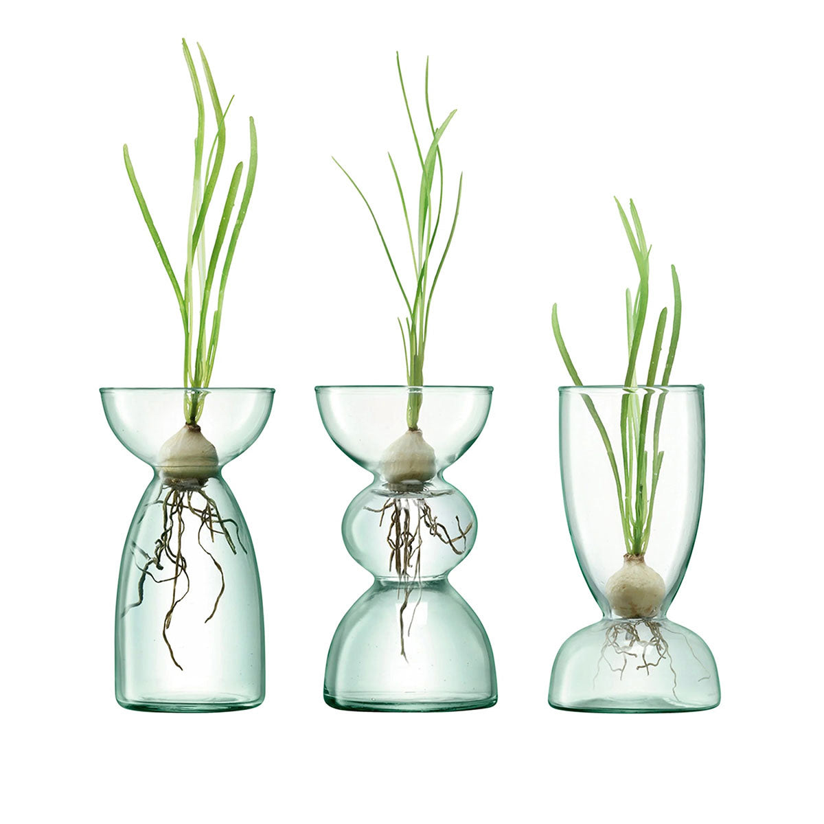 The Canopy Trio vases with plants inside.